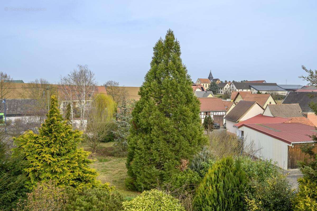 Terrain à WILLGOTTHEIM