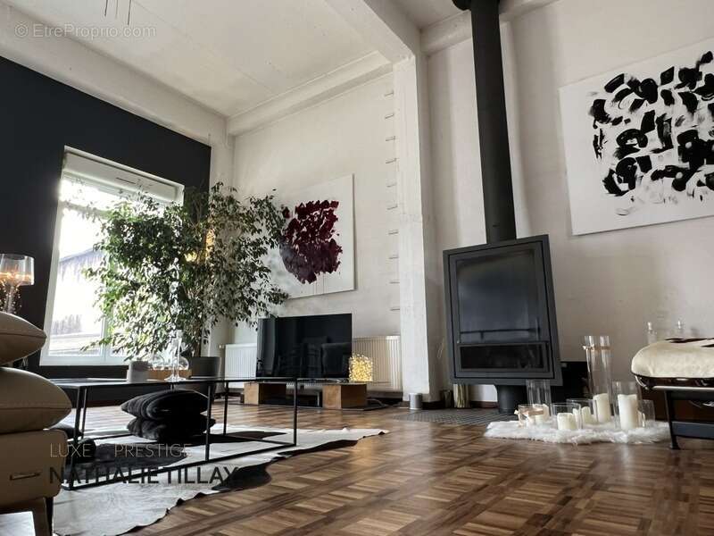 Orleans hyper centre, appartement loft à vendre, avec patio, terrasse  de 150 M²? salle de sport, garage - photo 5