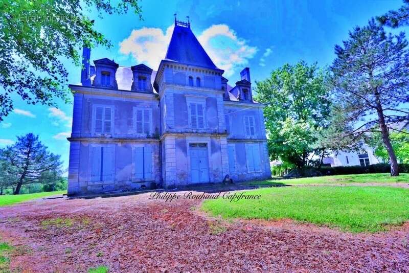 Château du XVIIᵉ siècle à vendre, 17 pièces, FOUSSAIS PAYRE (85) - photo 3