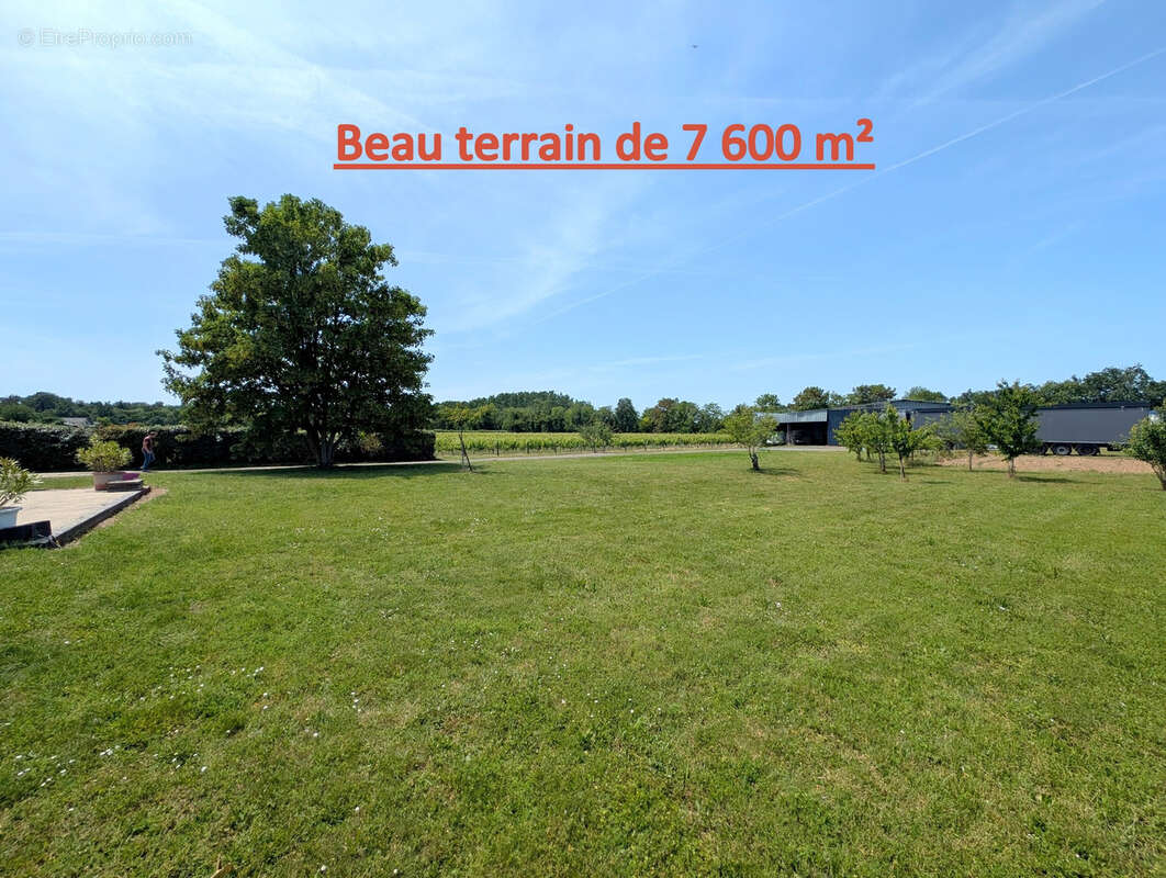 Pavillon sur sous-sol complet, terrain 7600m2 - photo 2