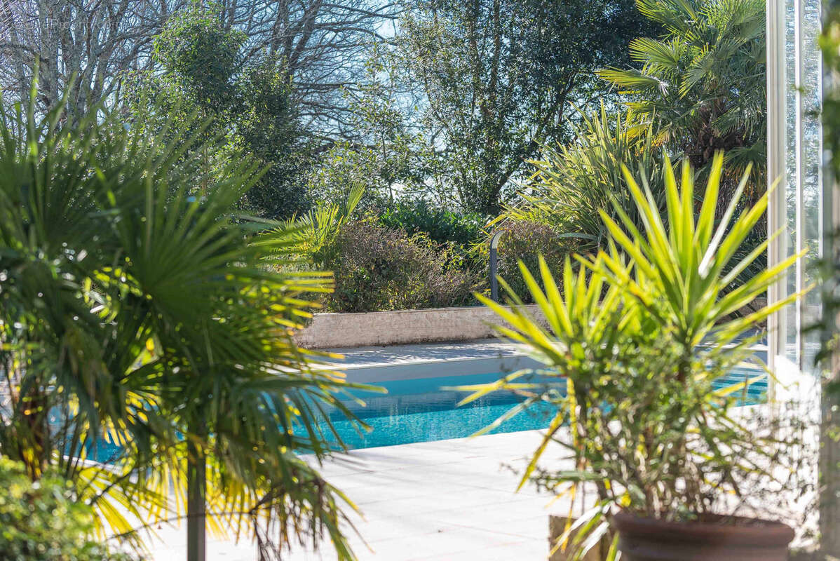 Demeure en pierre - 310 m2 - 5 ch - maison d'amis de 50 m2 - parc de 2386 m2 - photo 5