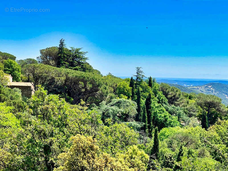 Terrain à LA GARDE-FREINET