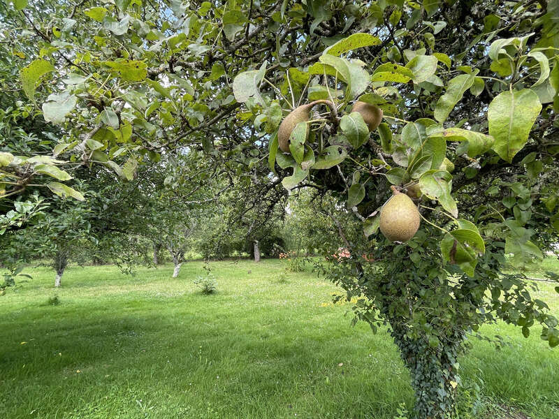 Maison à ARCES-DILO