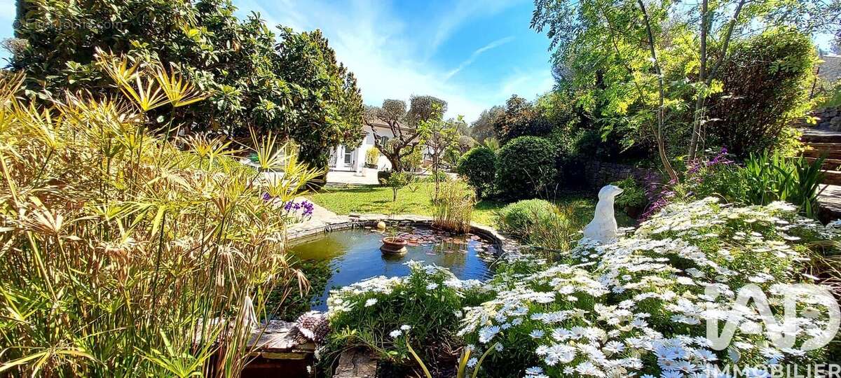 Photo 2 - Maison à SOLLIES-VILLE