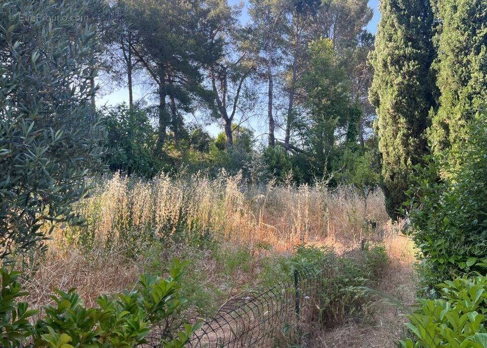 Terrain à LES PENNES-MIRABEAU