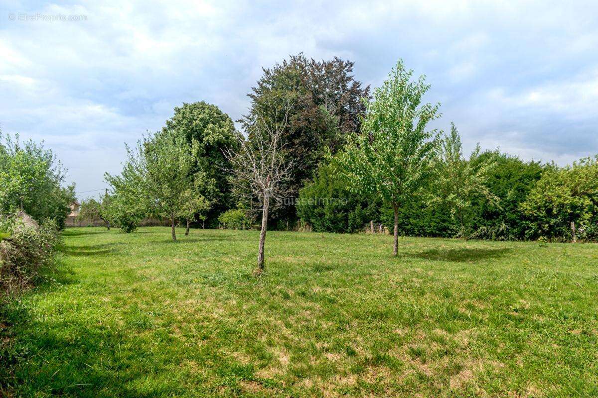 Terrain constructible de 20 ares 10 minutes de Villersexel - photo 3