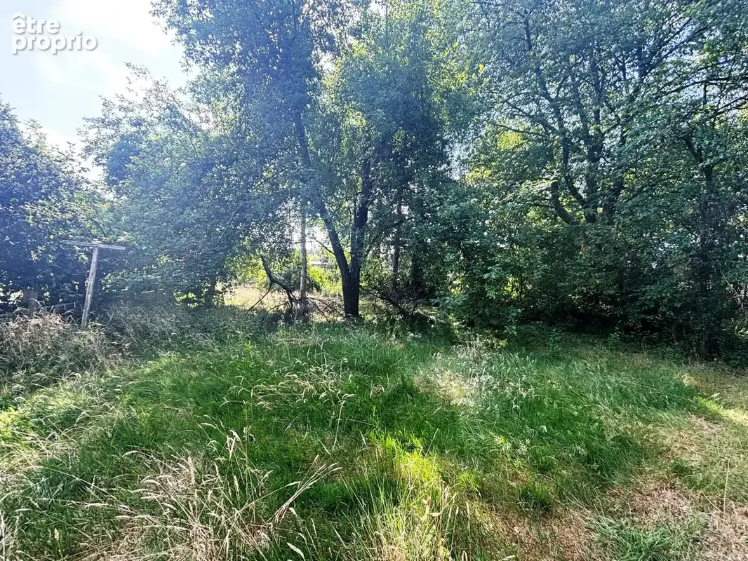 Terrain 1 068 m² à vendre à Mondrepuis (02500) - photo 2
