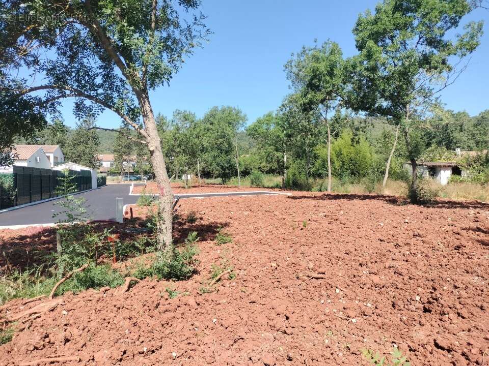 Terrain 393 m² à Le Luc  - photo 6