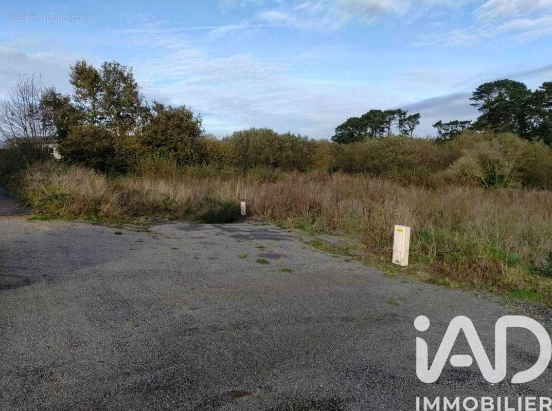 Photo 4 - Terrain à LESNEVEN
