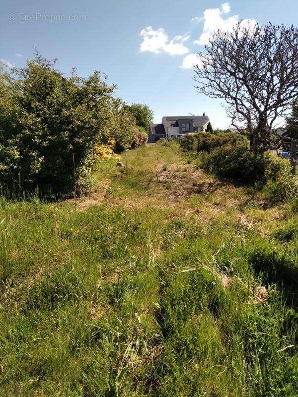 Terrain à NEUVILLERS-SUR-FAVE