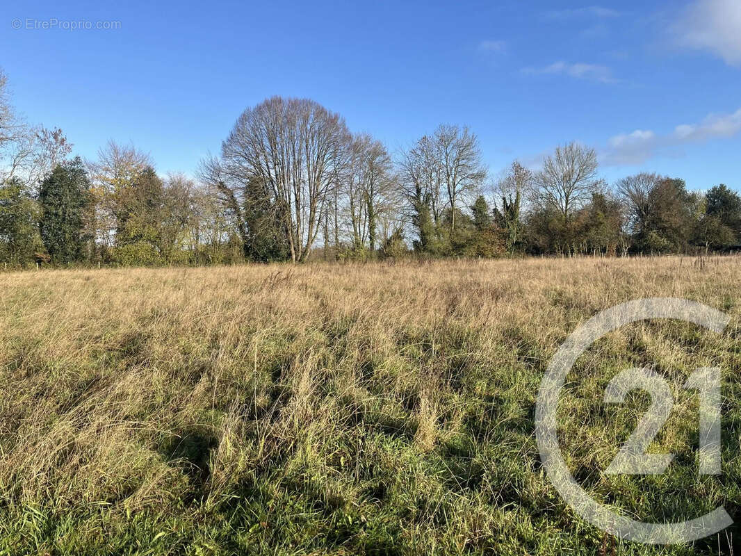 Terrain à CAORCHES-SAINT-NICOLAS