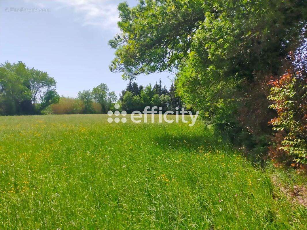 Maison 242 m² à Eyguieres  - photo 16