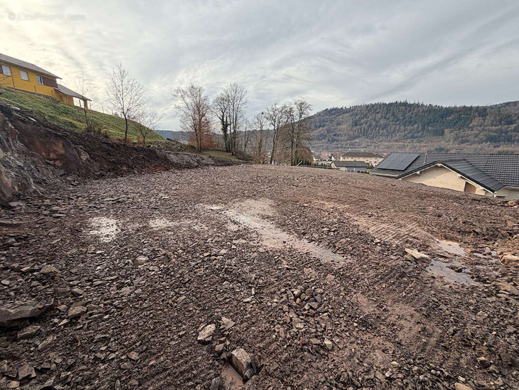 Terrain à RUPT-SUR-MOSELLE