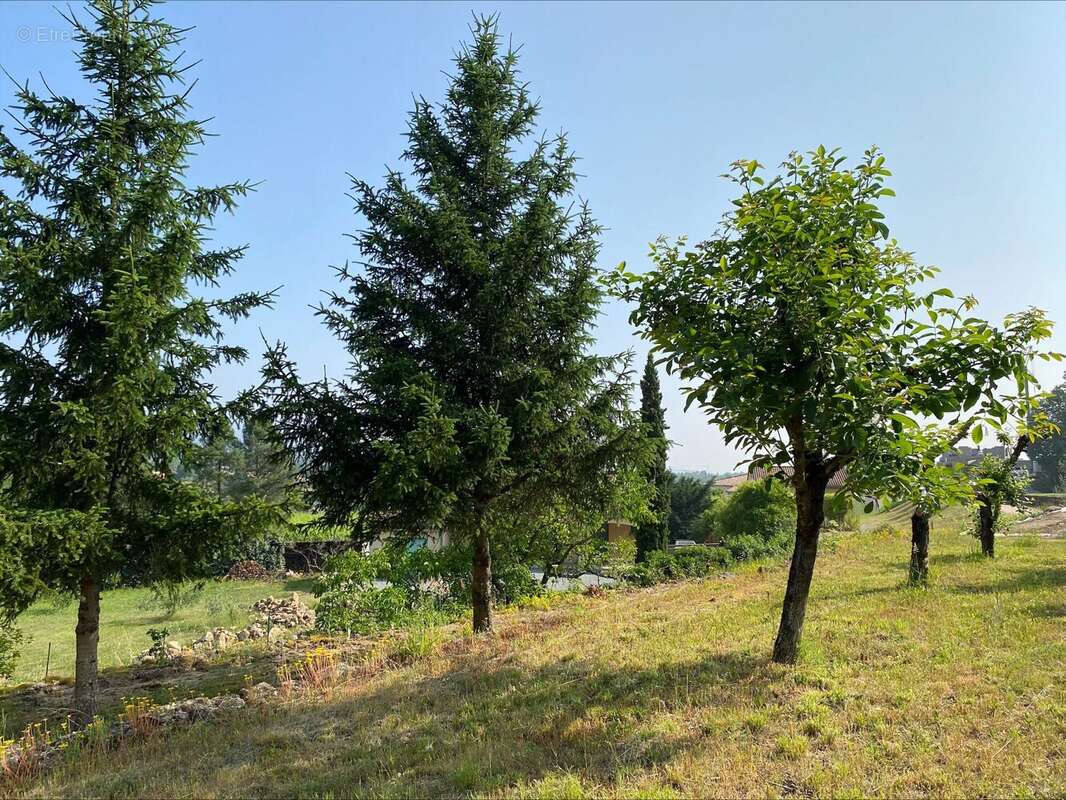 Terrain 914 m² à Lablachere  - photo 2