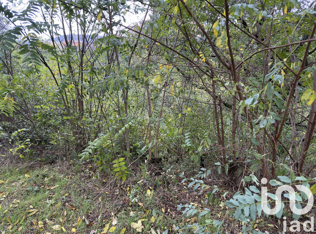 Photo 2 - Terrain à PRIVAS