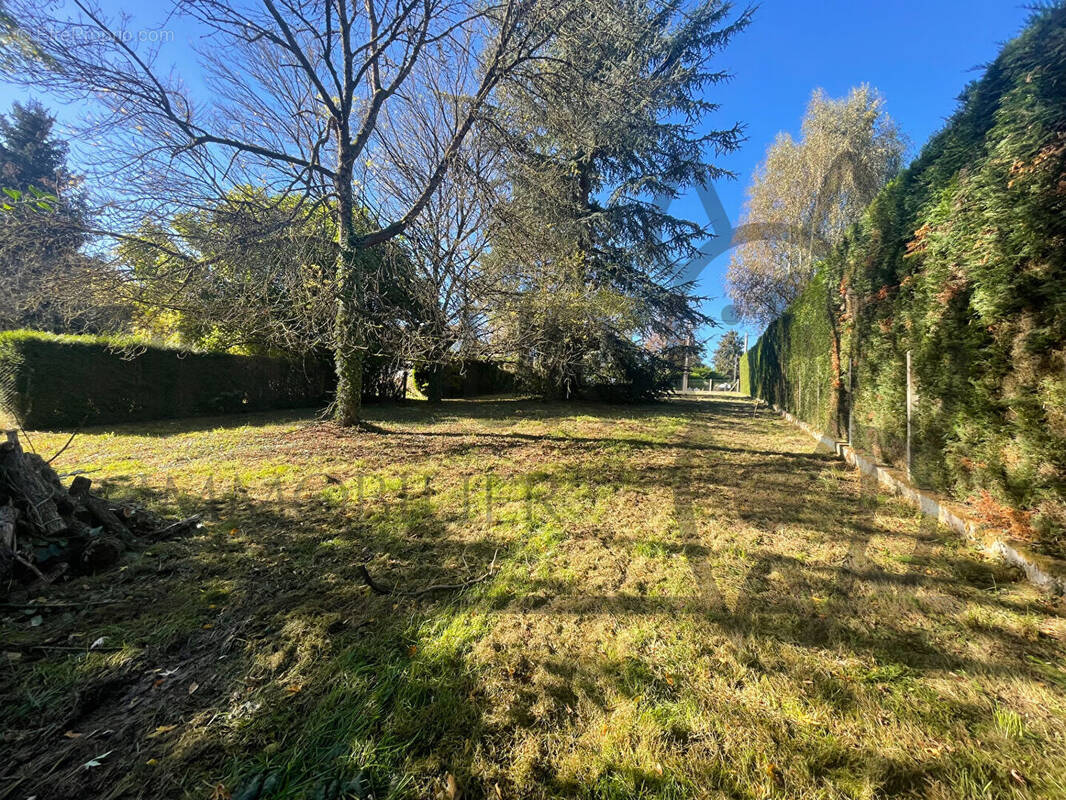 Terrain à BOISSY-LE-CHATEL
