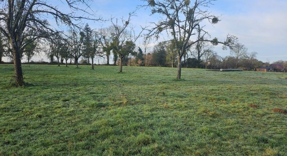Terrain à LA LANDE-SAINT-LEGER