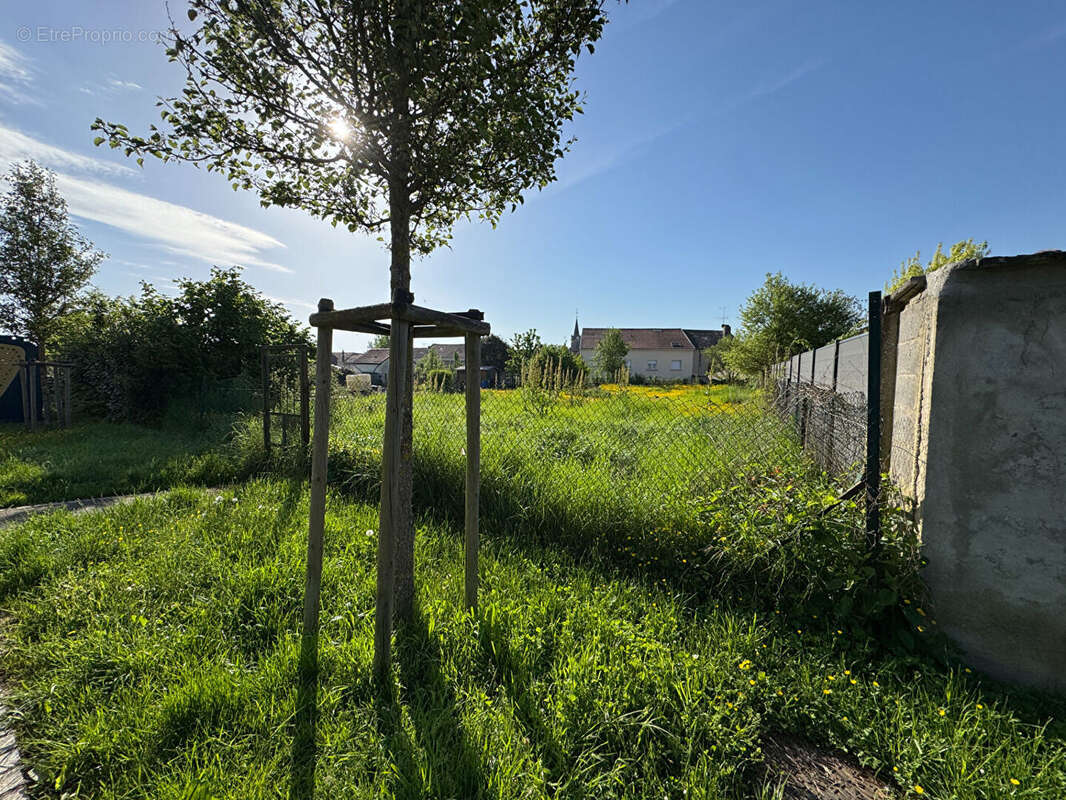 Terrain Cattenom (Sentzich) - photo 5