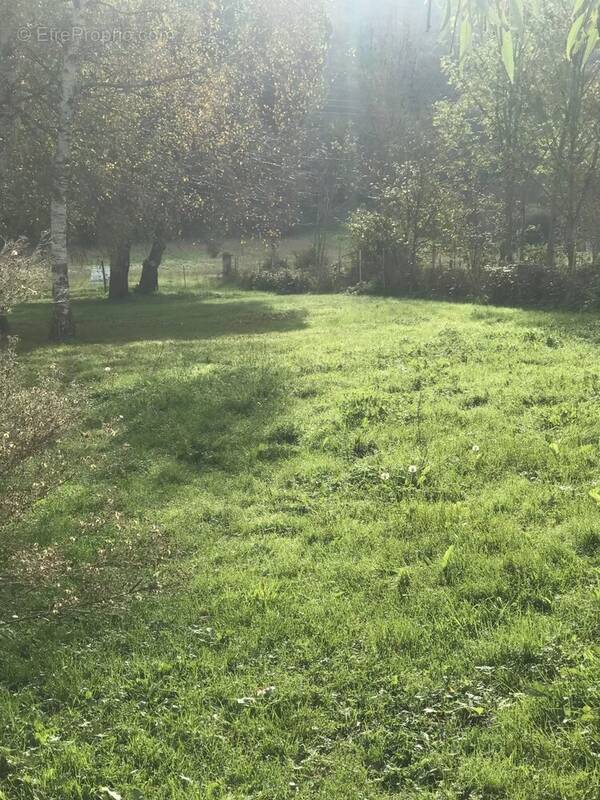Terrain à ARDIEGE
