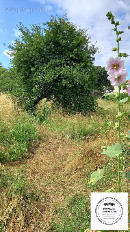 Terrain à ROMANS-SUR-ISERE