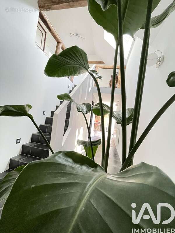 Photo 5 - Maison à OUZOUER-LE-DOYEN