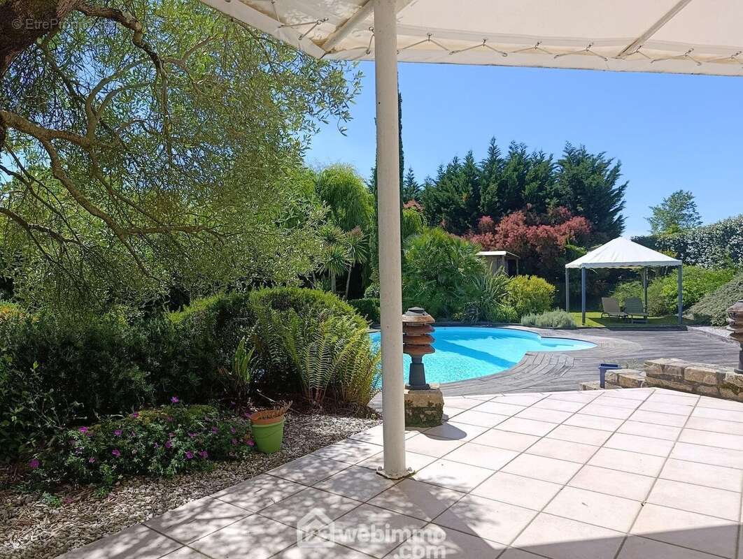 Maison 250 m² à Hagetmau  - photo 5