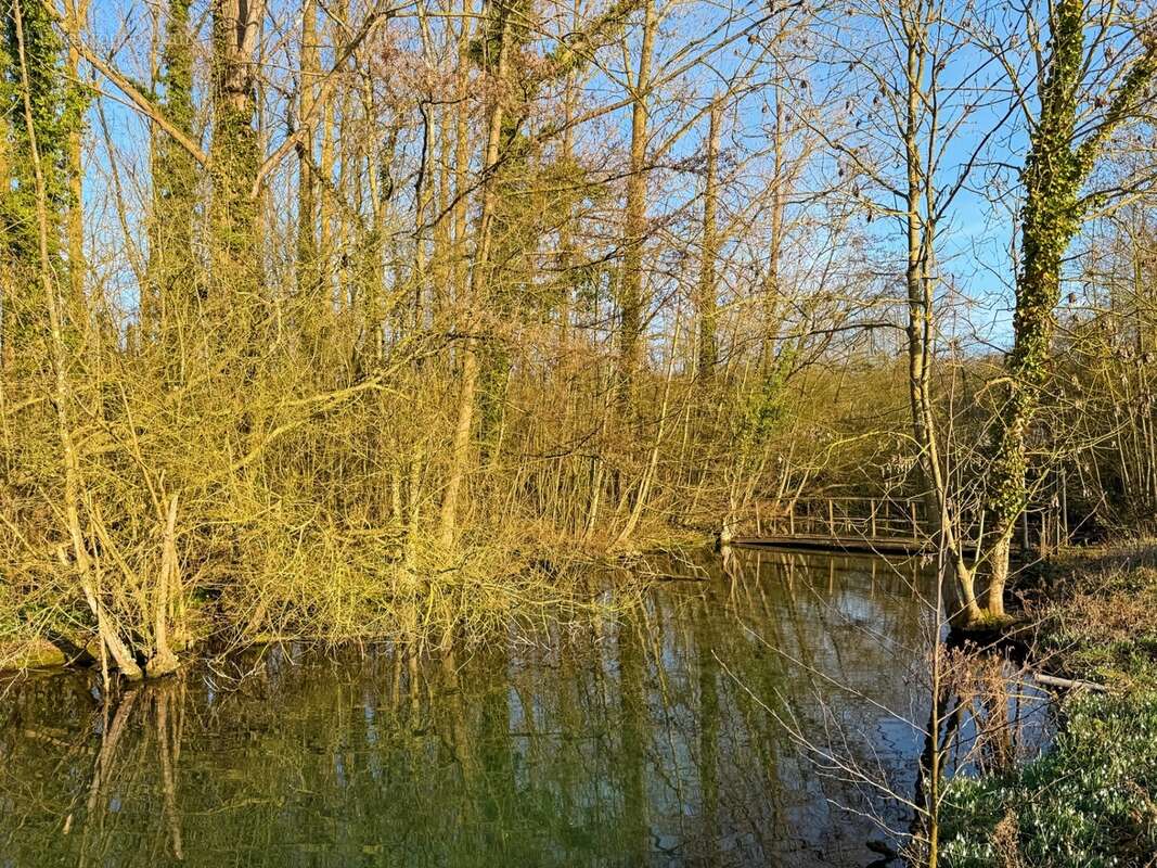 Demeure de Maître à 15min de Cambrai - photo 3