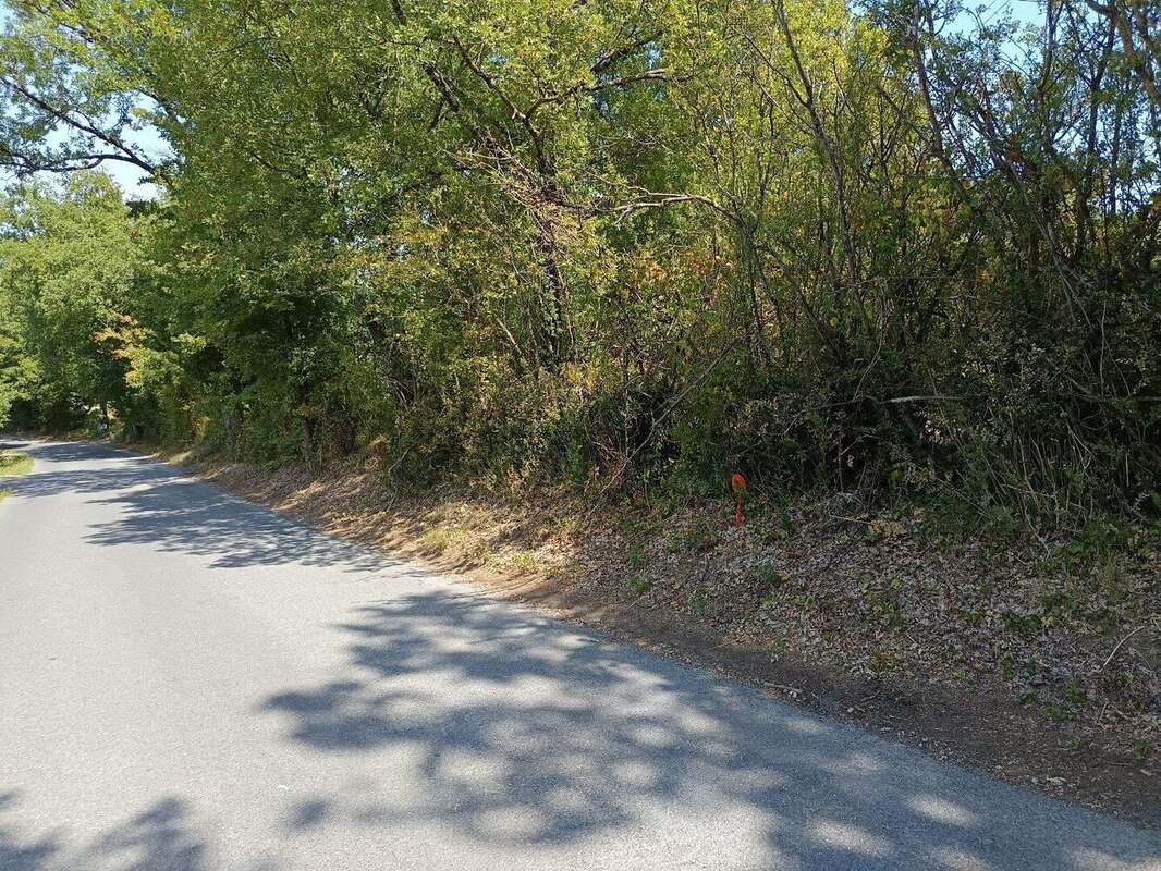 Terrain constructible de 2029m² - photo 5