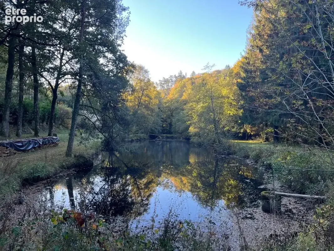 Haute-Vienne, une propriété avec étang au bord de la Vienne - photo 6