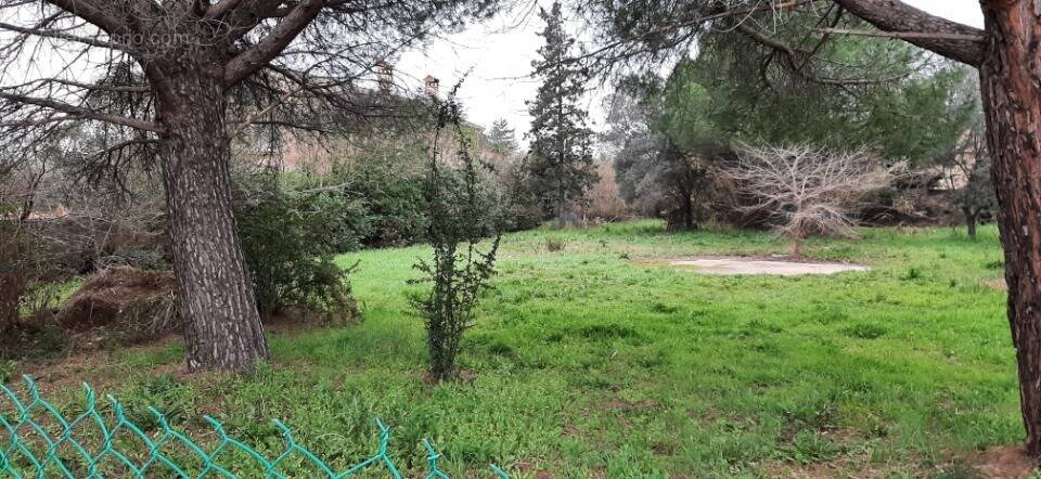 Terrain à LE MUY