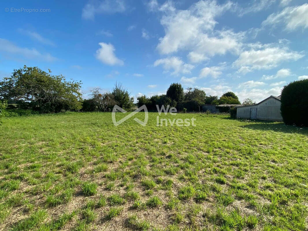 Terrain à SARGE-LES-LE-MANS