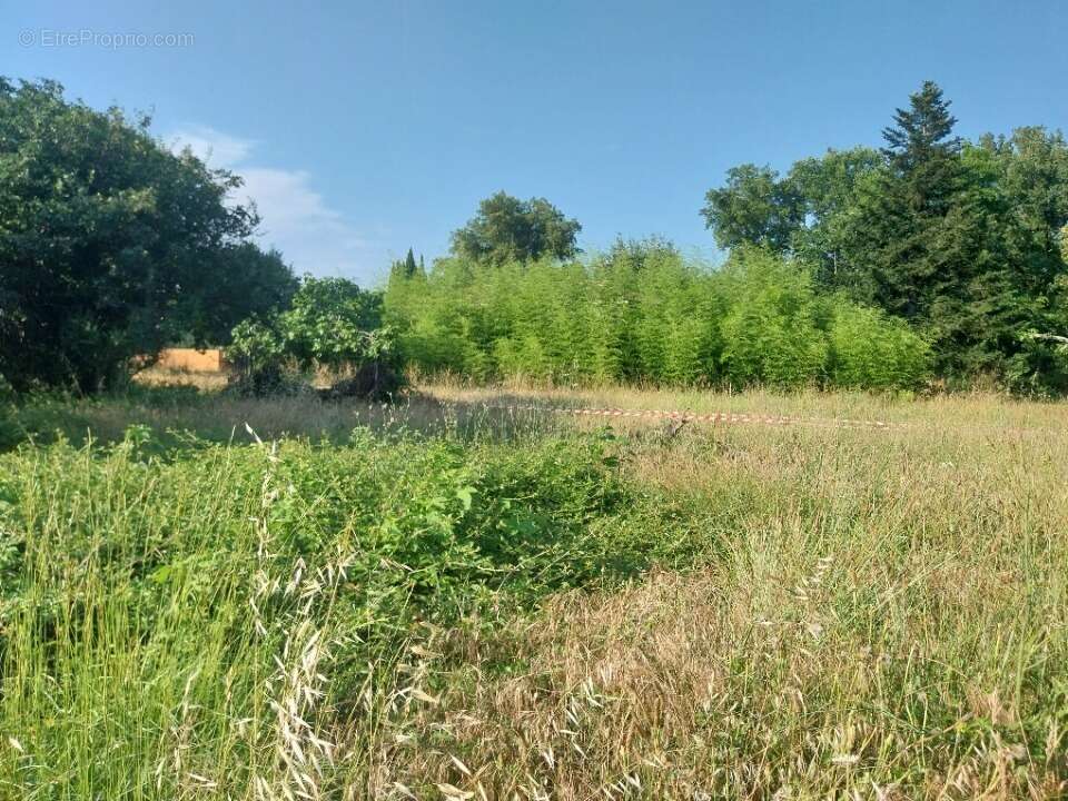 Terrain 1100 m² à Saint-Raphael  - photo 4