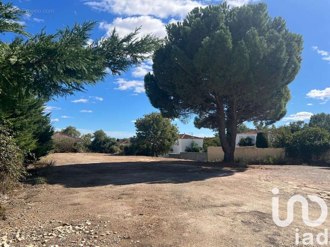 Photo 3 - Terrain à BEZIERS