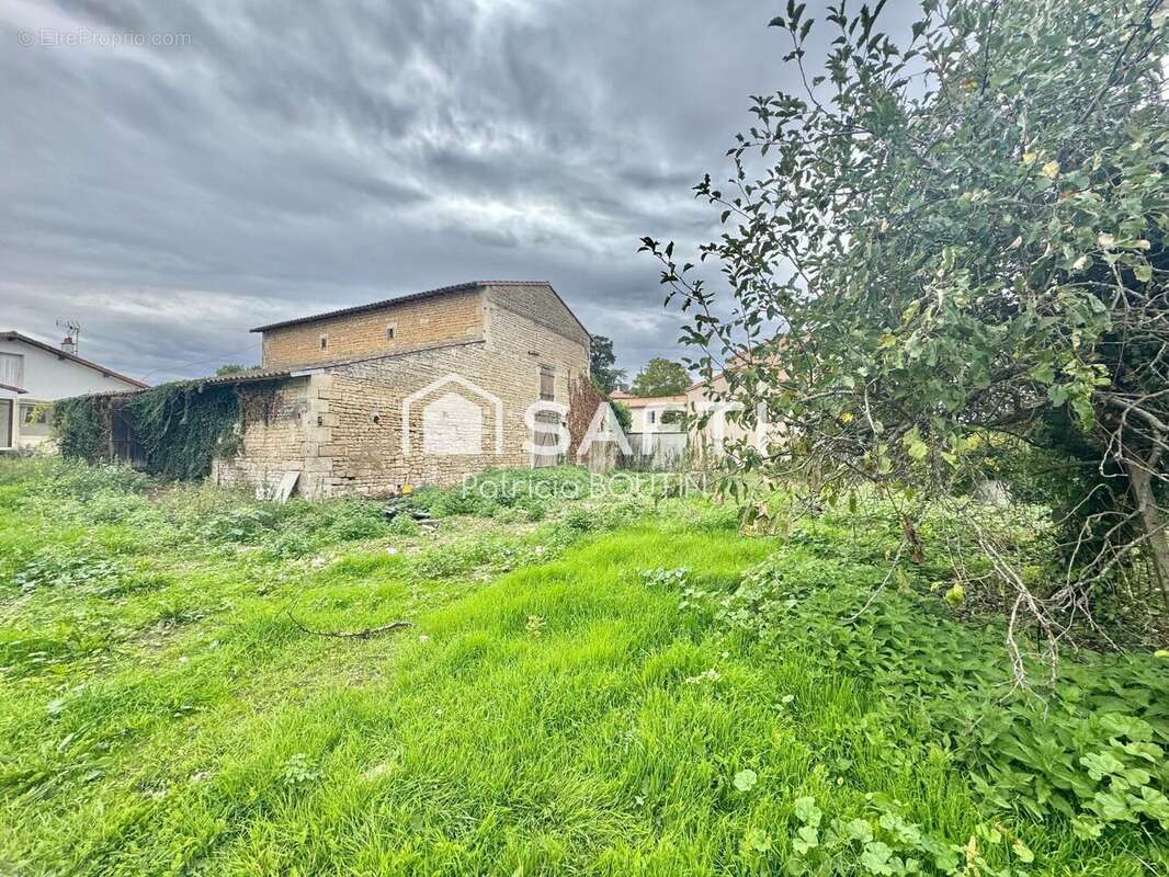 Photo 9 - Maison à NIORT