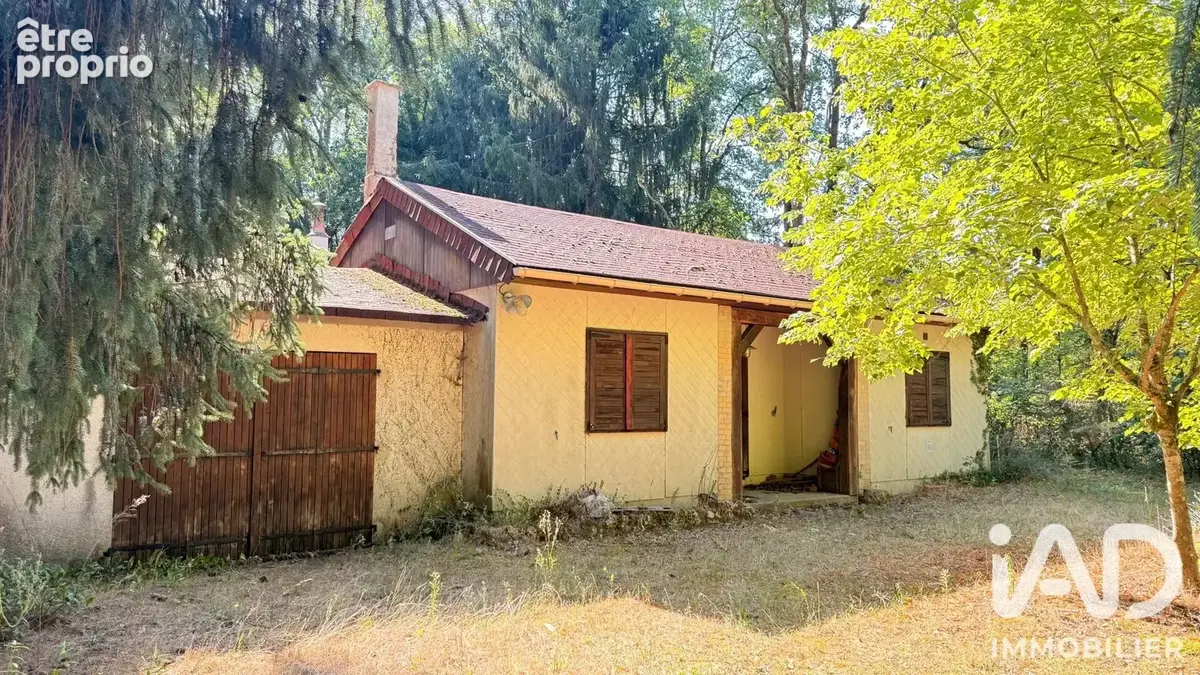 Photo 1 - Maison à NEUVY-SUR-BARANGEON