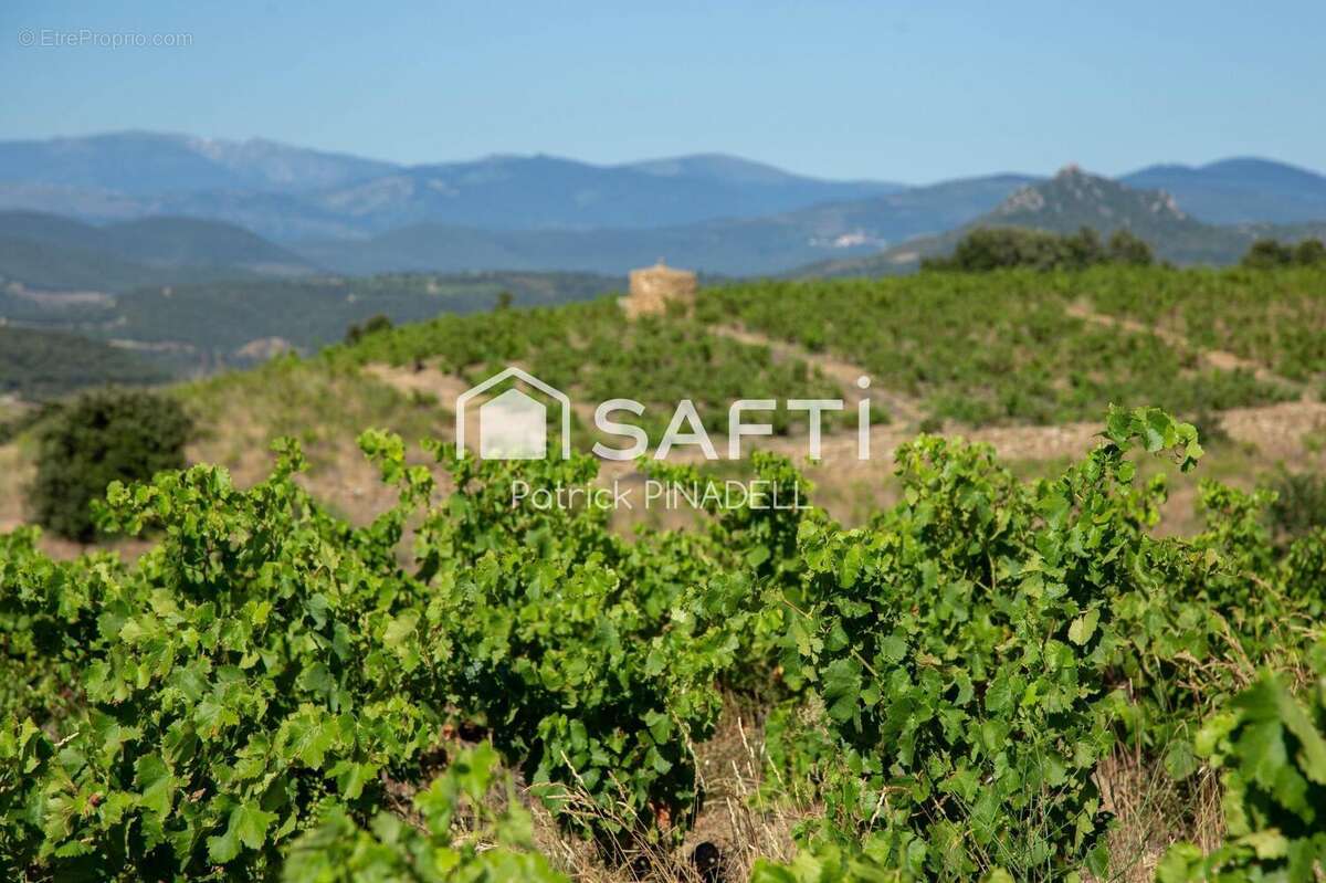 Photo 6 - Commerce à LATOUR-DE-FRANCE