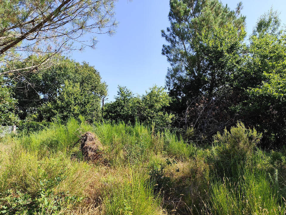 Terrain à VENDAYS-MONTALIVET