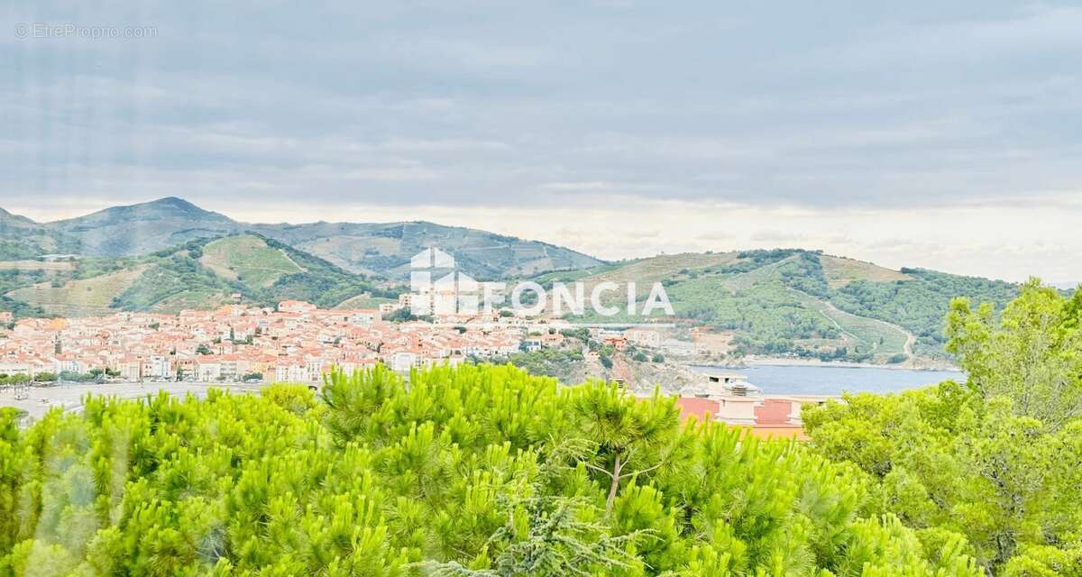 Appartement à BANYULS-SUR-MER