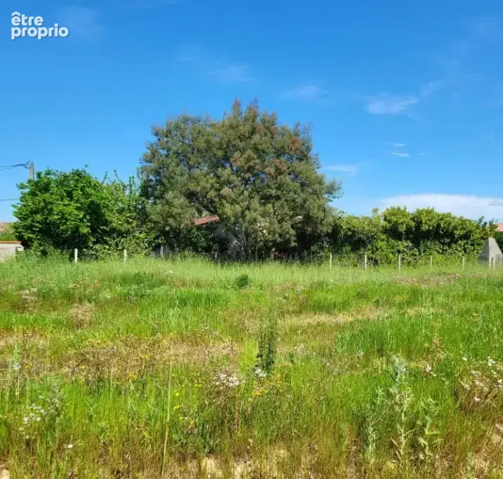 Terrain 500 m² à vendre à Frouzins (31270) - photo 2