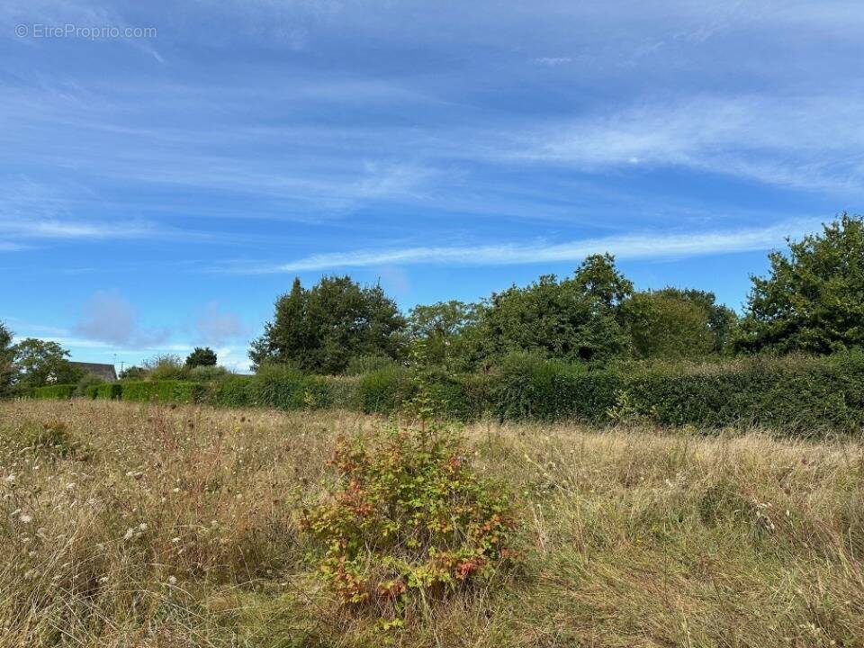 Terrain à CINQ-MARS-LA-PILE
