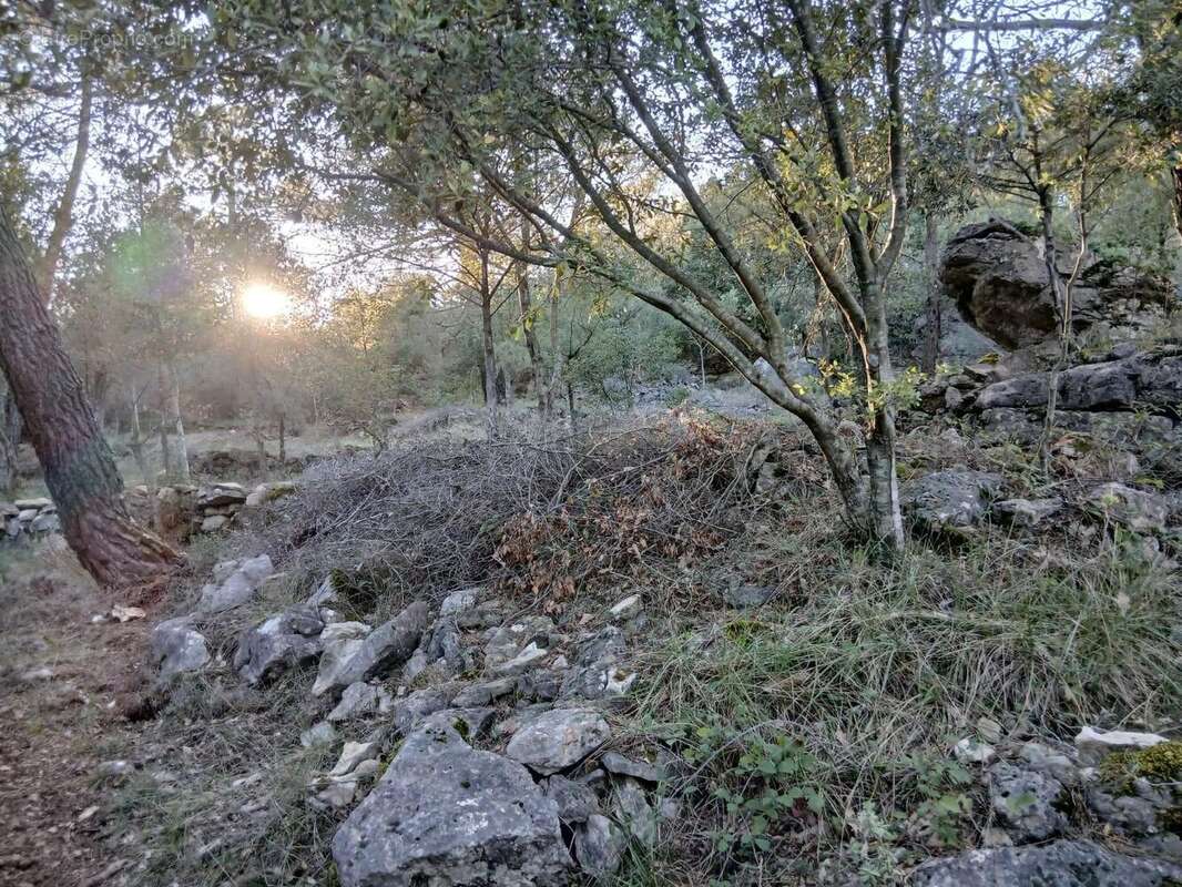   - Terrain à CABRIS