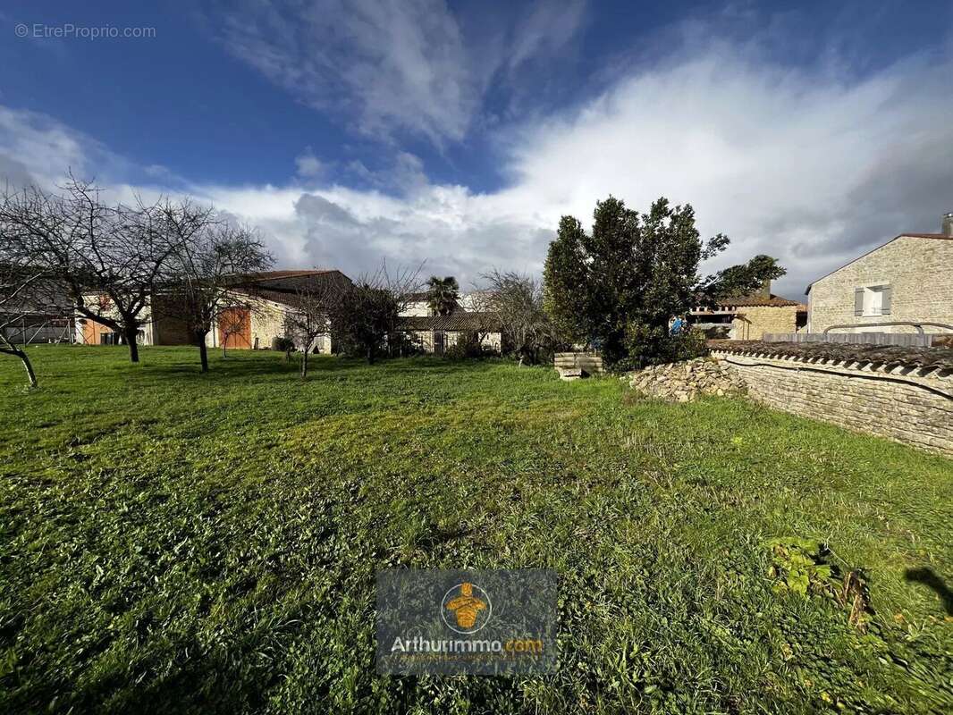 Terrain à SAINT-SAUVEUR-D'AUNIS