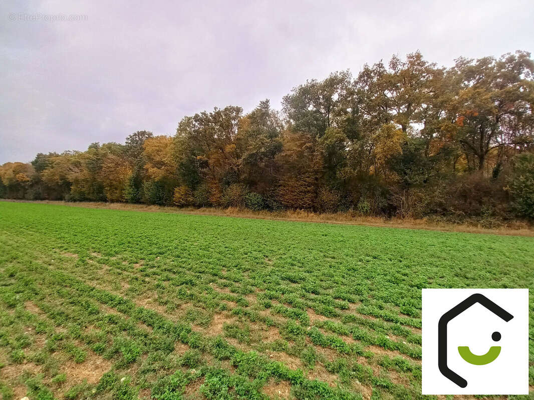Terrain à SAUVILLERS-MONGIVAL