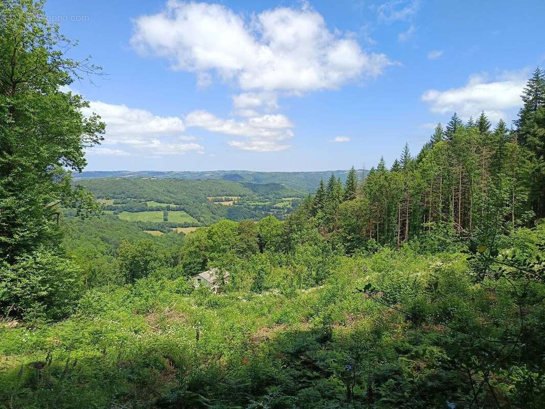 Charmante maison de campagne en pierre à BERLATS, au coeur de la nature - photo 8
