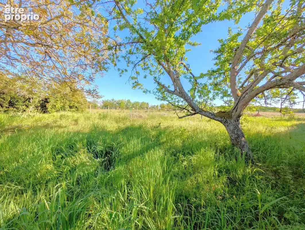 Maison de 74m2 sur sous sol, et jardin de 1075m2 sur la commune de Chevannes dans un environnement très calme - photo 3