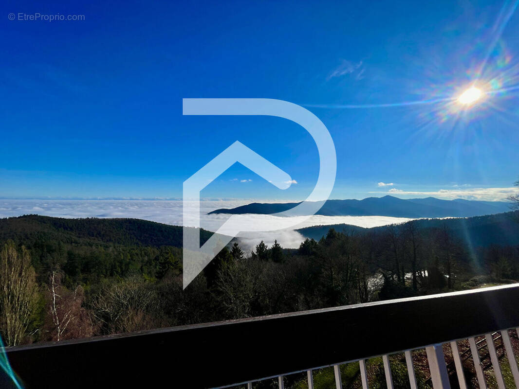 Appartement à TURCKHEIM