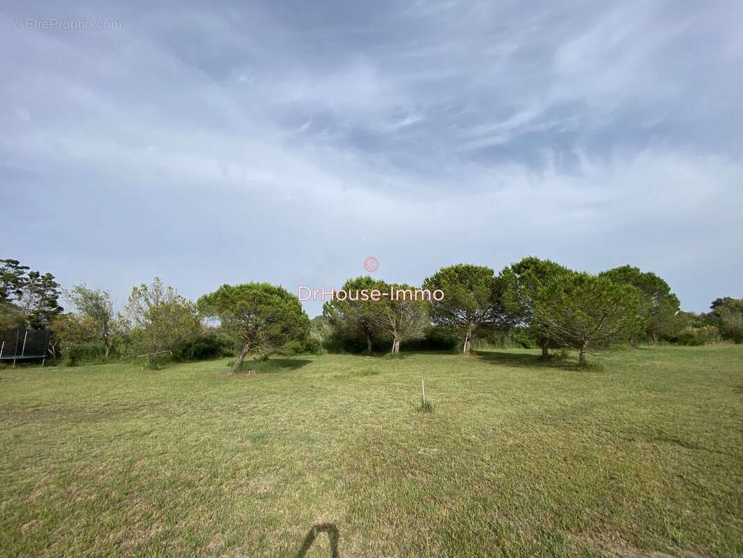 Maison à SAINTES-MARIES-DE-LA-MER