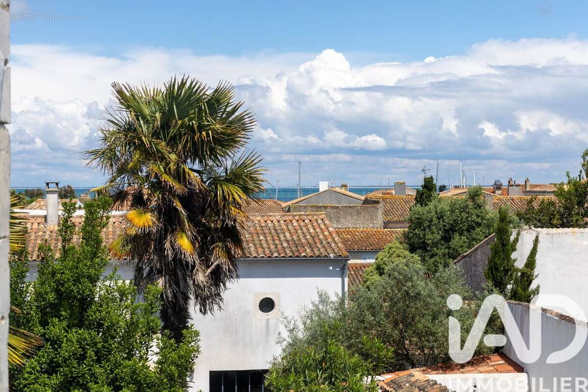 Photo 9 - Maison à SAINT-MARTIN-DE-RE