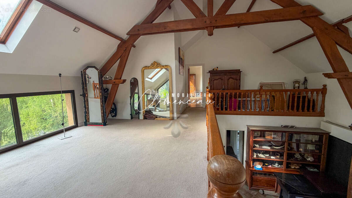 Maison 200m²  Bords de Seine - île Privée - POISSY - photo 11