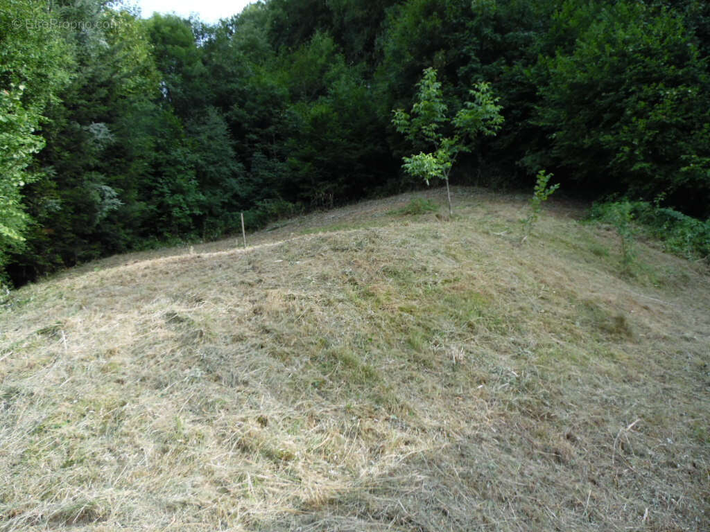 SENONES (Vosges) garage sur deux niveaux - photo 11